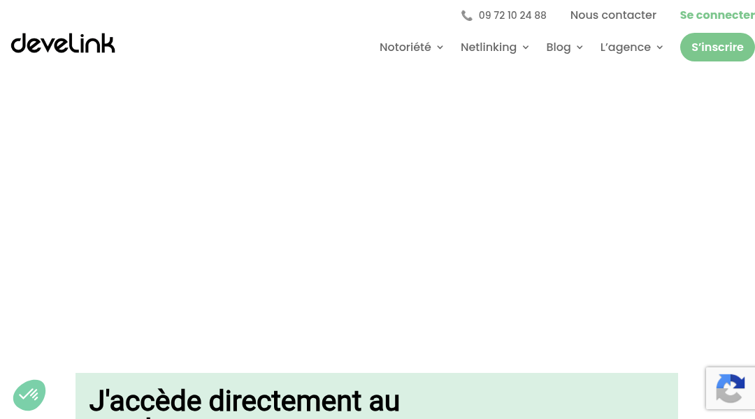 Aperçu du site Develink